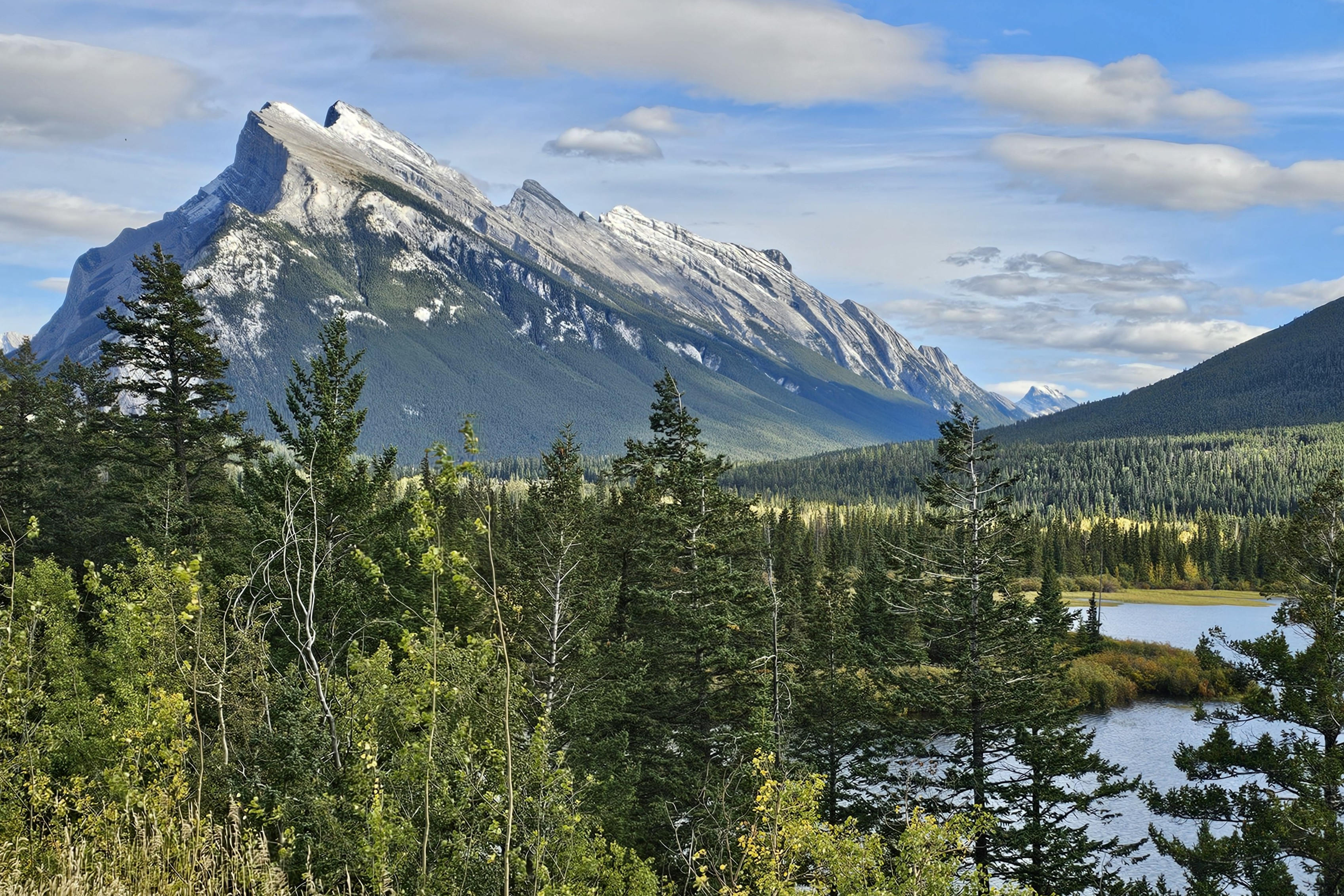 NP Banff